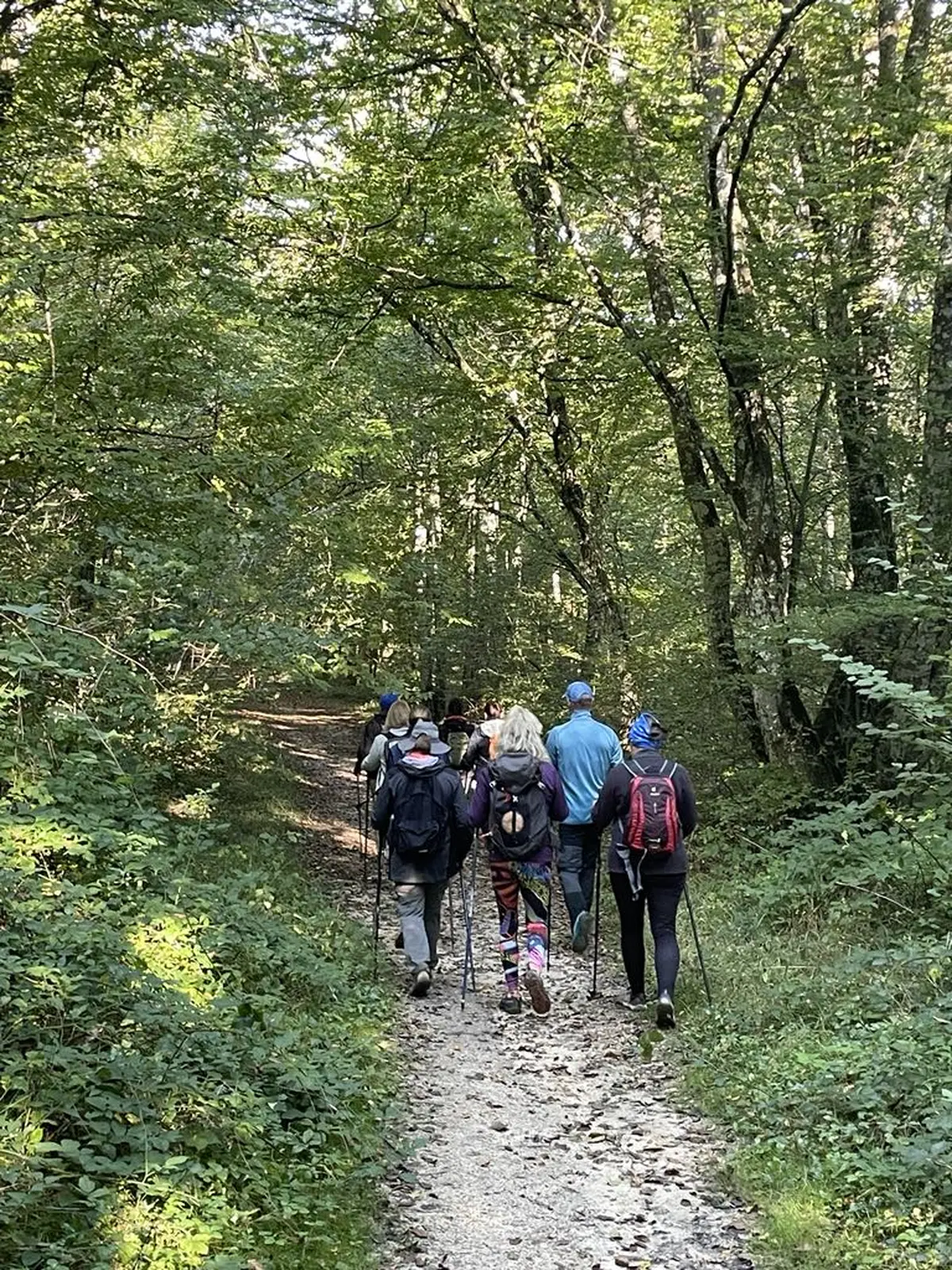 Marche Nordique Speciale Fetes Des Meres