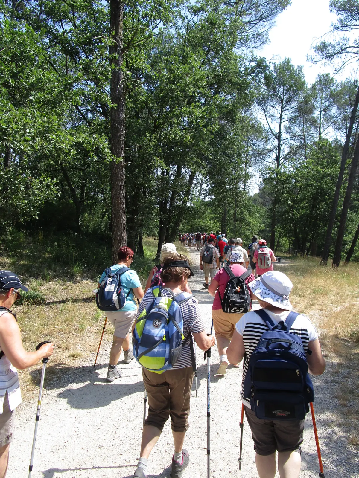 Marche populaire gourmande