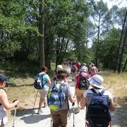 Marche populaire gourmande