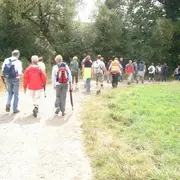 Marche pour le téléthon