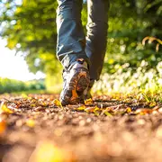 Marche pour les P’tits Loups