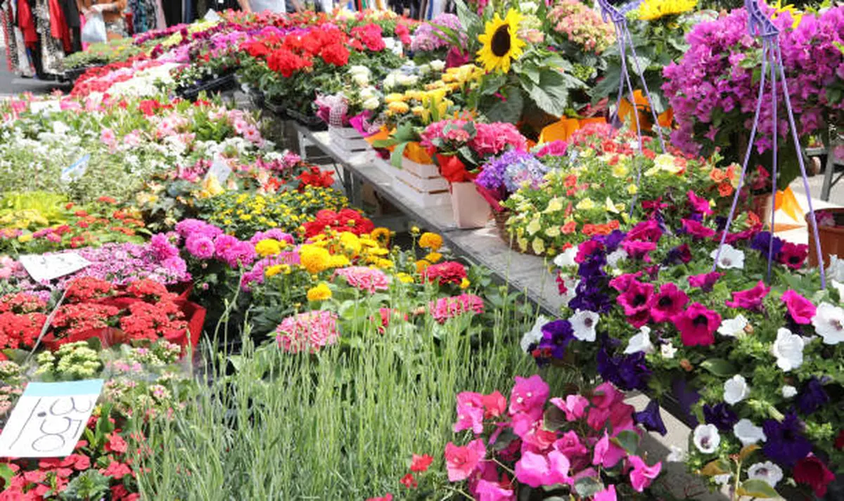 Marché printanier