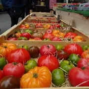 Marché provençal hebdomadaire d'Aureille