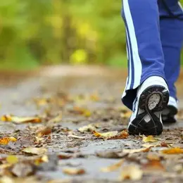 Marche ressourçante et stretching