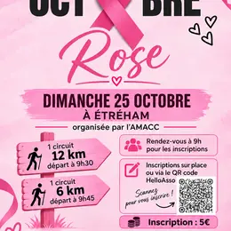 Marche Rose