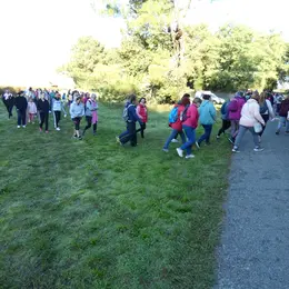 Marche rose 2026 à Berson