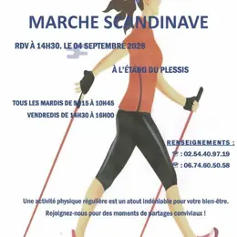 Marche scandinave