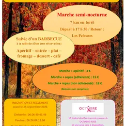 Marche semi-nocturne au profit d'Octobre Rose