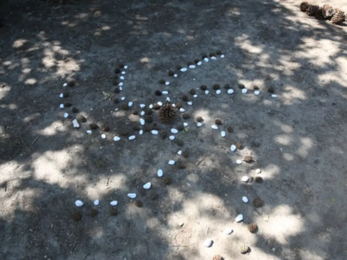 Marche sensorielle & Land Art éphémère au Bois de Vincennes
