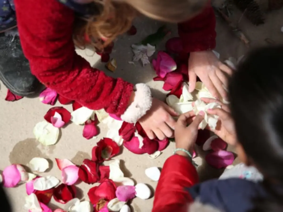 Marche sensorielle & Land Art éphémère au Parc de Sceaux