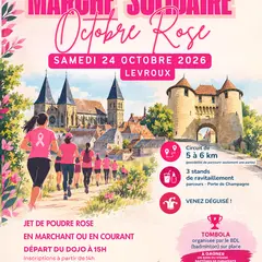 Marche solidaire Octobre Rose à Levroux