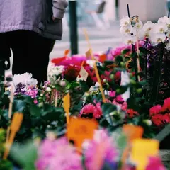 Marché traditionnel
