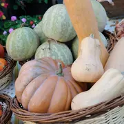 Marché traditionnel