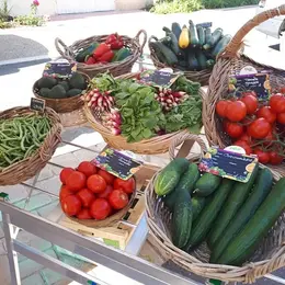 Marché traditionnel