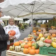 Marché traditionnel