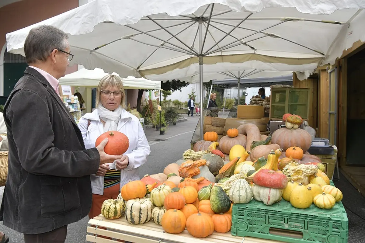 Marché traditionnel