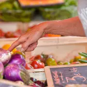 Marché traditionnel