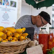 Marché traditionnel