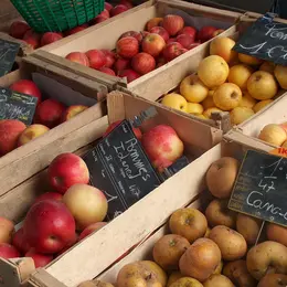 Marché traditionnel d'Aiguillon