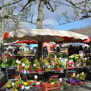 Marché traditionnel de Bon-Encontre
