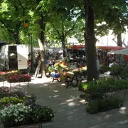 Marché Traditionnel De Cessenon-Sur-Orb