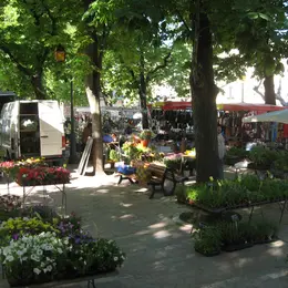Marché Traditionnel De Cessenon-Sur-Orb
