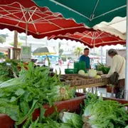Marché Traditionnel Du Jeudi à Sète