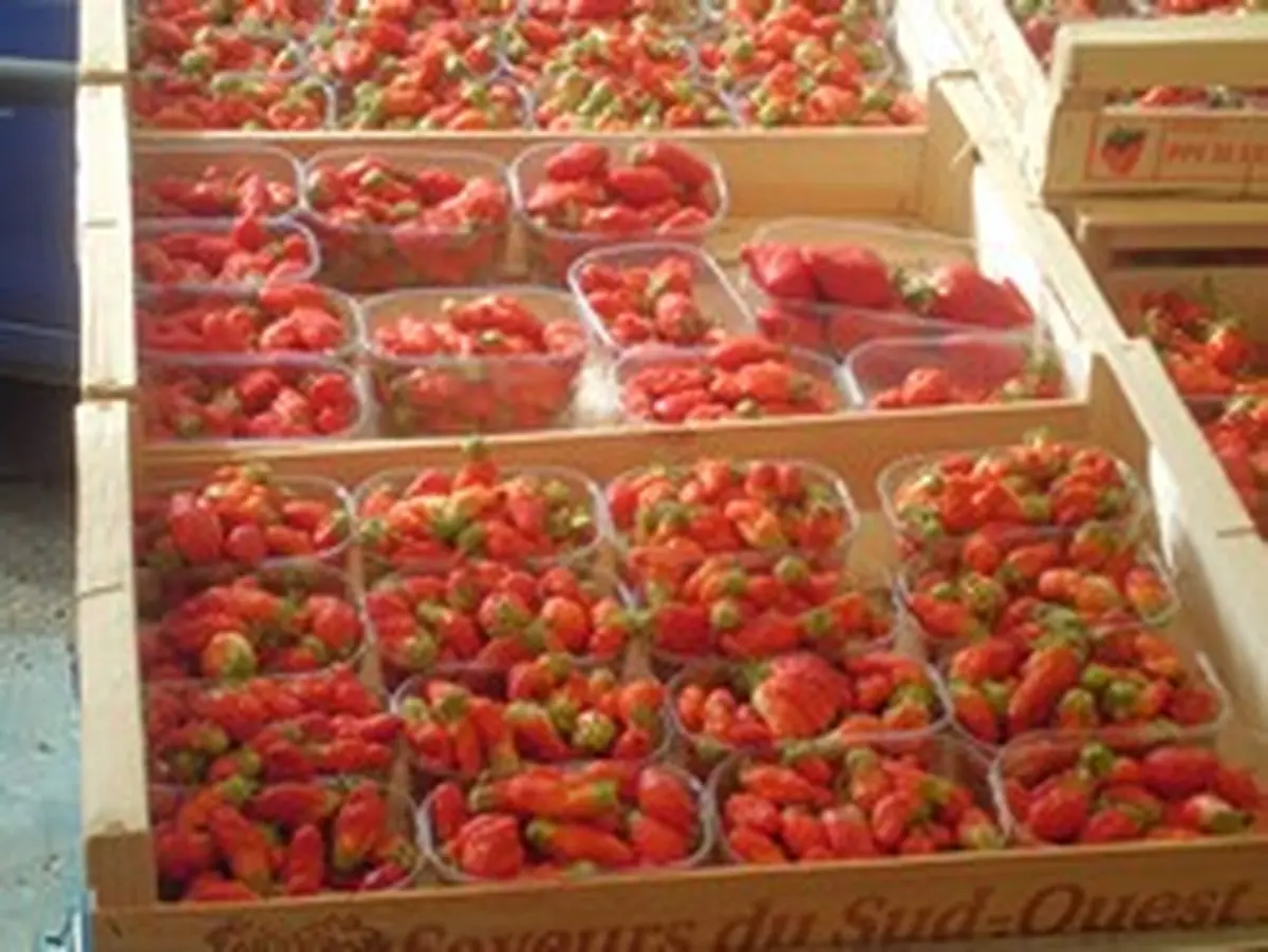 Marché traditionnel du Mercredi