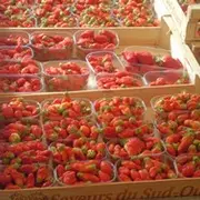 Marché traditionnel du Mercredi