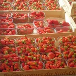 Marché traditionnel du Mercredi