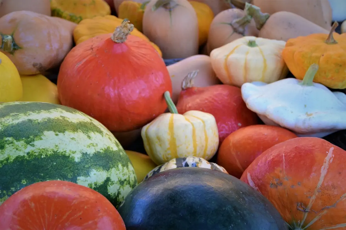 Marché traditionnel hebdomadaire