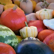 Marché traditionnel hebdomadaire