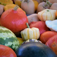 Marché traditionnel hebdomadaire