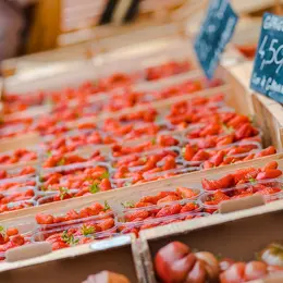 Marché traditionnel saisonnier