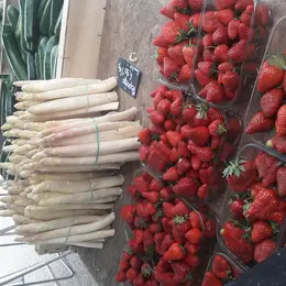 Marché traditionnel saisonnier