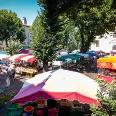 Marché Traditionnel St Pons De Thomieres