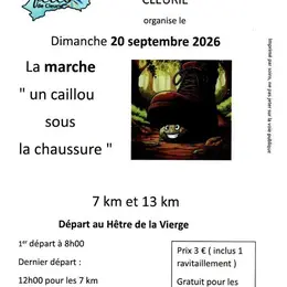 Marche Un caillou sous la chaussure