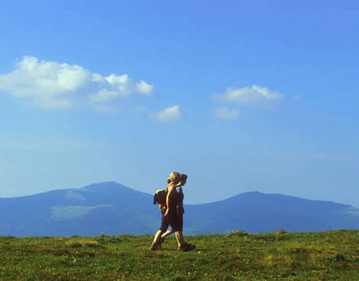 Marcher dans les Vosges