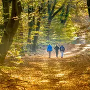 Marcher, découvrir, aimer Arcachon !