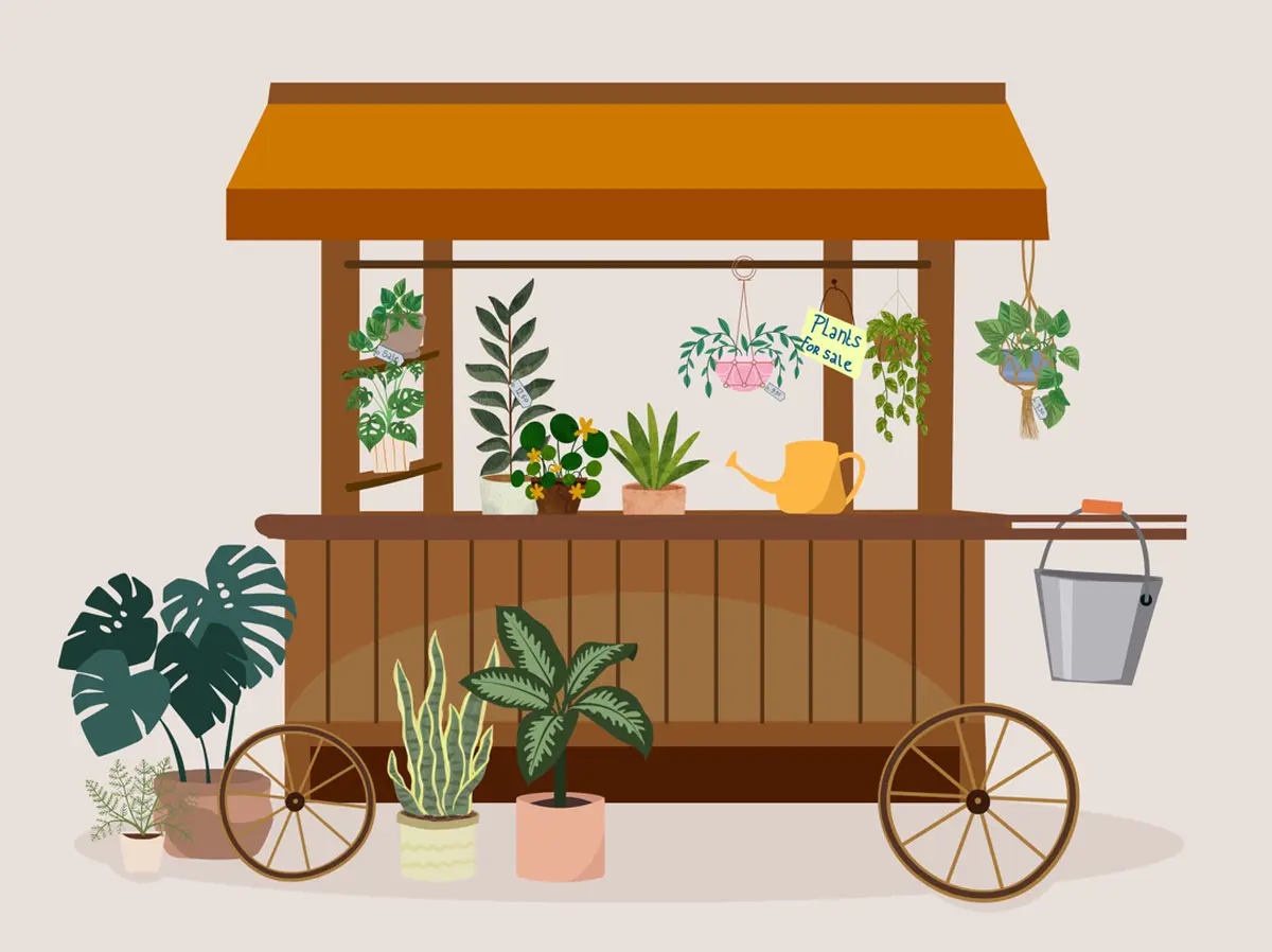 Marchés aux plantes