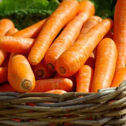 Marchés des Producteurs de Pays