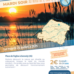 Mardi soir au bord de l'eau