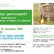 Mare,  biodiversité &  plantations pour le solstice d'hiver, suivi d'un  repas partagé