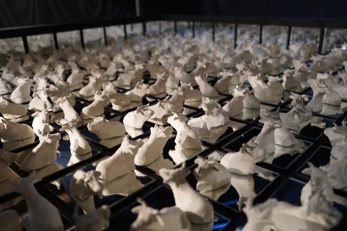 Marguerite - les petites vaches de Belin