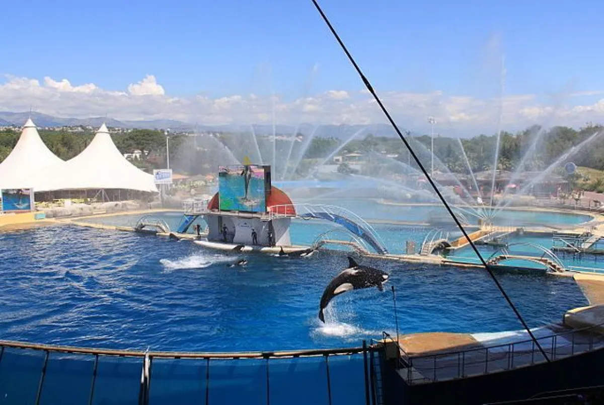 Marineland d'Antibes près de Nice
