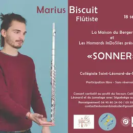 Marius Biscuit en concert