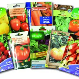 Mars : trois clés pour un beau jardin !