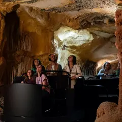 Marseille : Billet d'entrée à la grotte Cosquer + visite audio de la ville