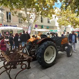 Martigues fête son terroir