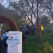 Martigues illuminée